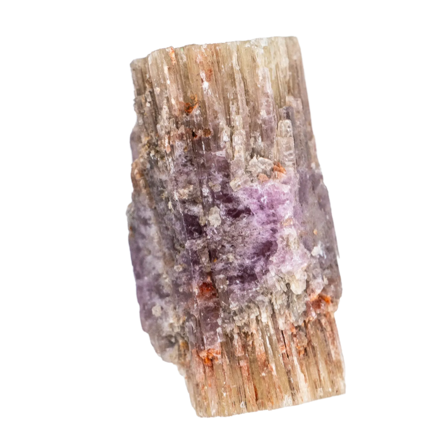 Bi-color Spanish Aragonite