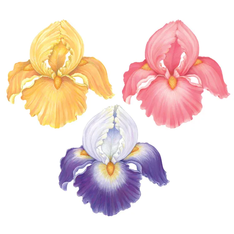 Die Cut Iris Placemats - 12 Sheets