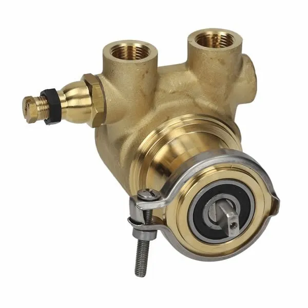 Fluid-o-Tech Rotoflow Rotary Vane Water Pump